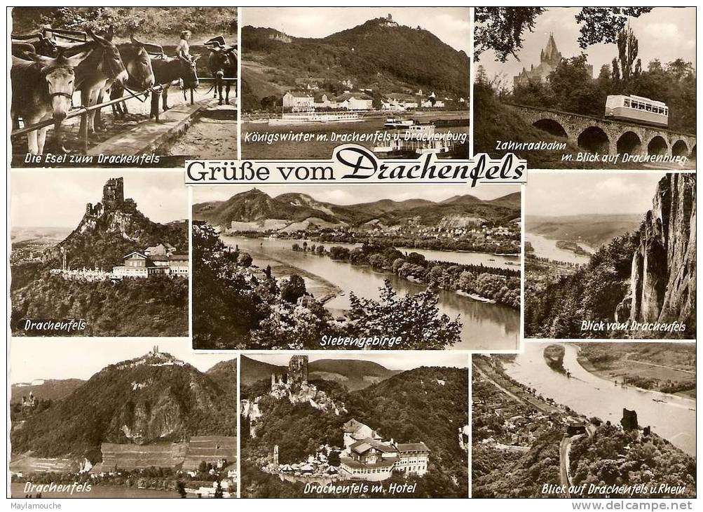 Drachenfels - Drachenfels