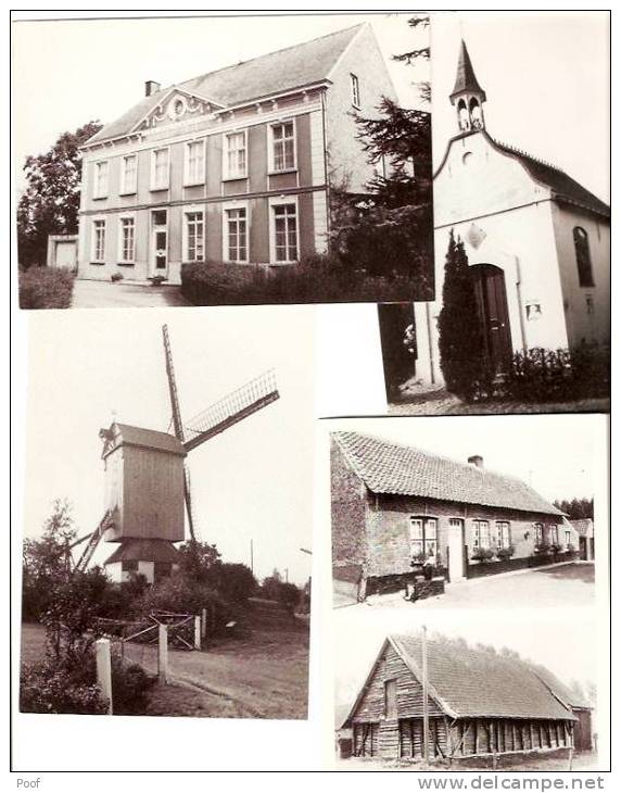 Knesselare : 4 Kaarten (oa : Molen) - Knesselare