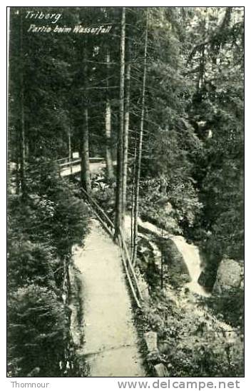 TRIBERG  PARTIE BEIM WASSERFALL  1913 - Triberg