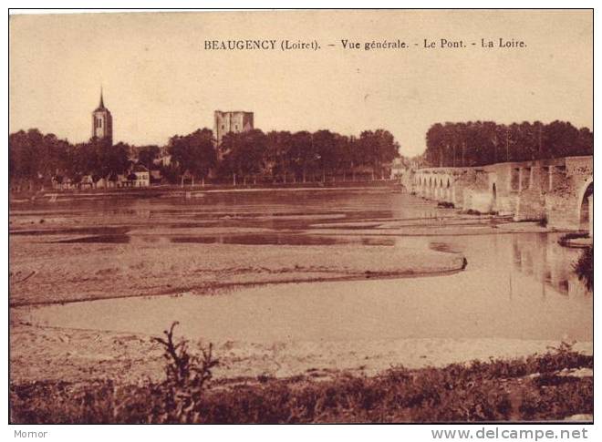 BEAUGENCY Vue Générale Le Pont - Beaugency