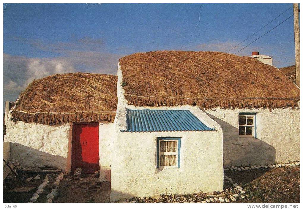 IRLANDE    Petite Maison Couverte De Chaume Irlandaise - Otros & Sin Clasificación