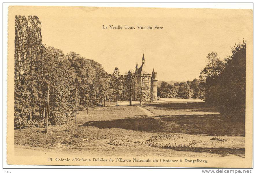 DONGELBERG - La Vieille Tour, Vue Du Parc - Colonie D'Enfants Débiles De L'ONE (875) - Jodoigne