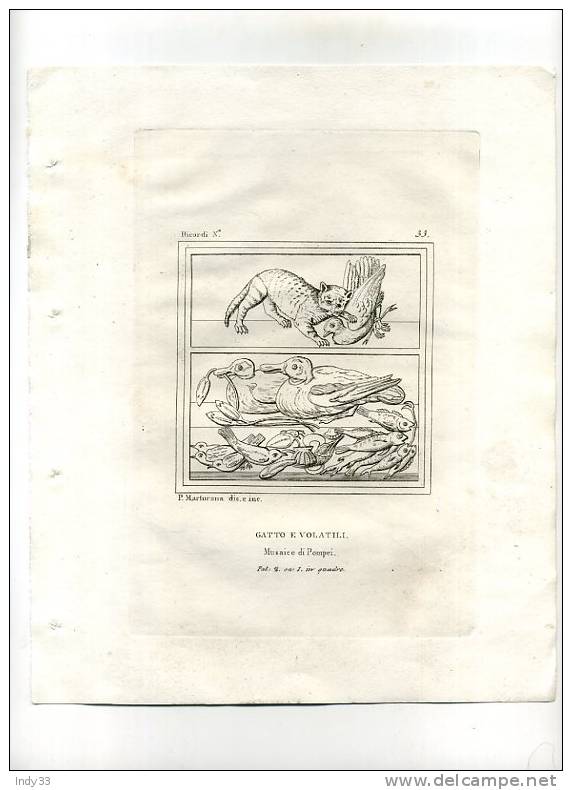 - GATTO E VALATILI . MUSAICO DI POMPEI . EAU FORTE AU TRAIT DU XIXe S. - Sonstige & Ohne Zuordnung