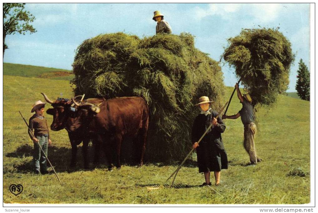 CP - En Parcourant Nos Campagnes - La Fenaison  - Exclusivité As De Coeur - Cultures