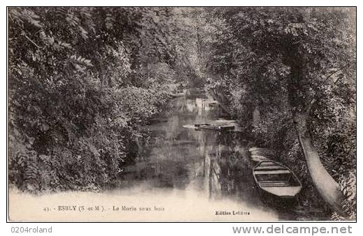 Esbly -Le Morin Sous Bois - Esbly