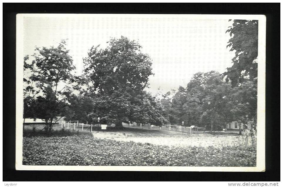 Largest Magnolia Tree - Washington, Arkansas - Otros & Sin Clasificación