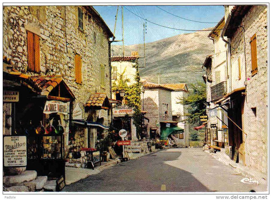 Carte Postale 06. Gourdon  La Sarrazine  Rue Principale Trés Beau Plan - Gourdon