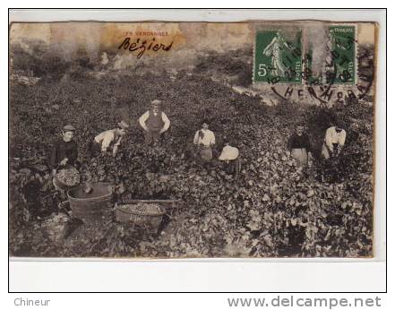 LES VENDANGES - Beziers