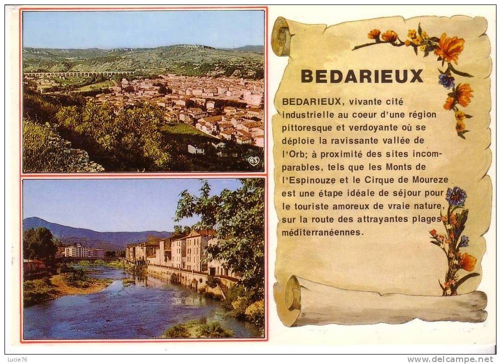 BEDARIEUX   :   2 Vues : Vue Générale Et Le Grand Viaduc - Un Coin De La Ville - Bedarieux