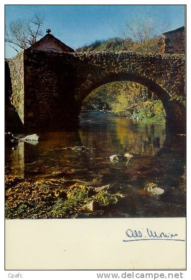 CPM 1970 ALBERT MONIER -vieux Pont De Saurier Environs D'Issoire - Monier