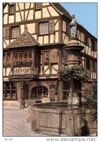Turckheim XVIe Siècle (Haut-Rhin) - Fontaine Et Vieille Maison Fleurie. - Turckheim