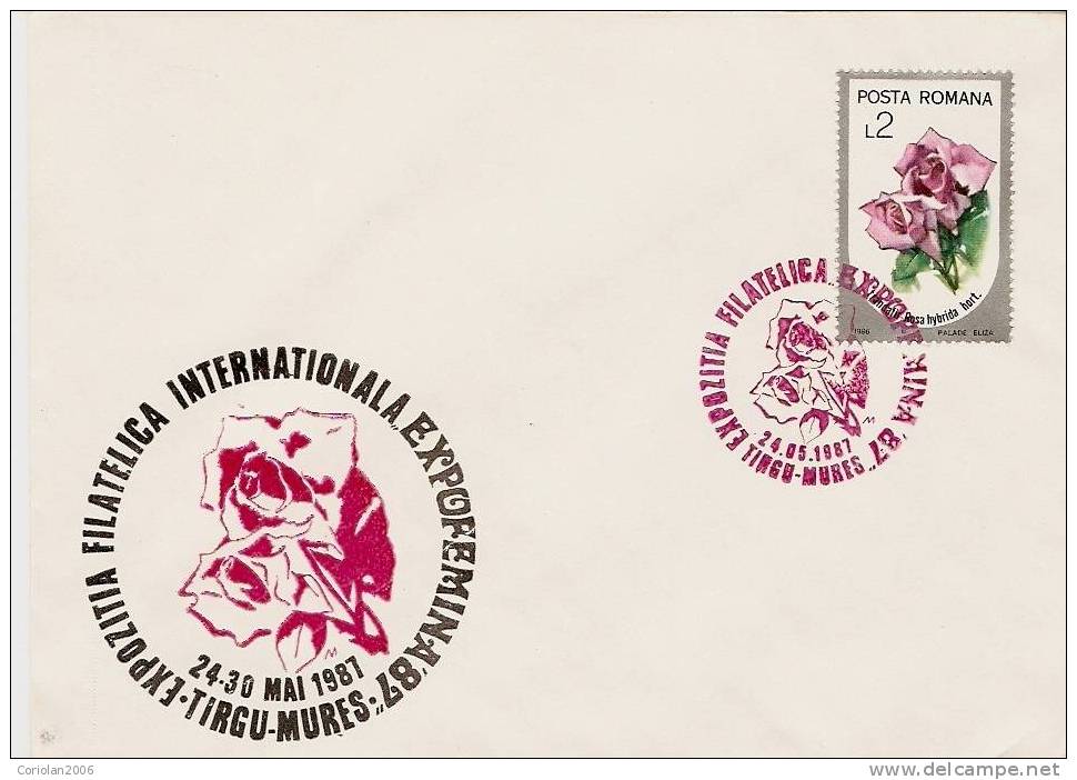 Romania / Special Cover With Special Cancellation - Día De La Madre