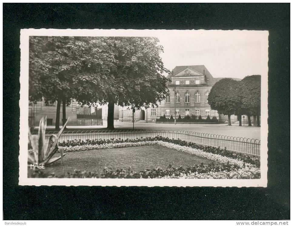 CPSM - Thionville ( Moselle 57) - Ecole Poincaré  ( G. REANT Format CPA) - Thionville