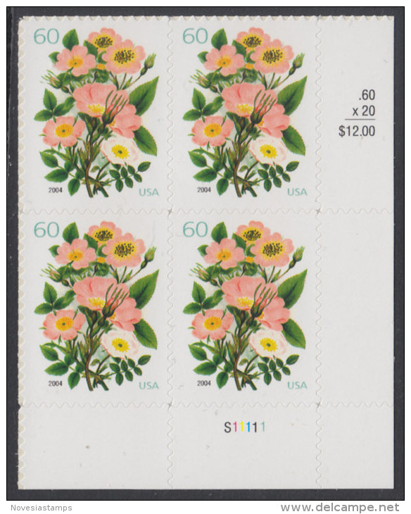 !a! USA Sc# 3837 MNH PLATEBLOCK (LR/S11111) - Flowers - Neufs
