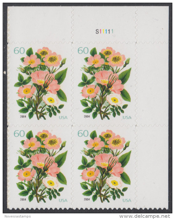 !a! USA Sc# 3837 MNH PLATEBLOCK (UR/S11111) - Flowers - Ungebraucht