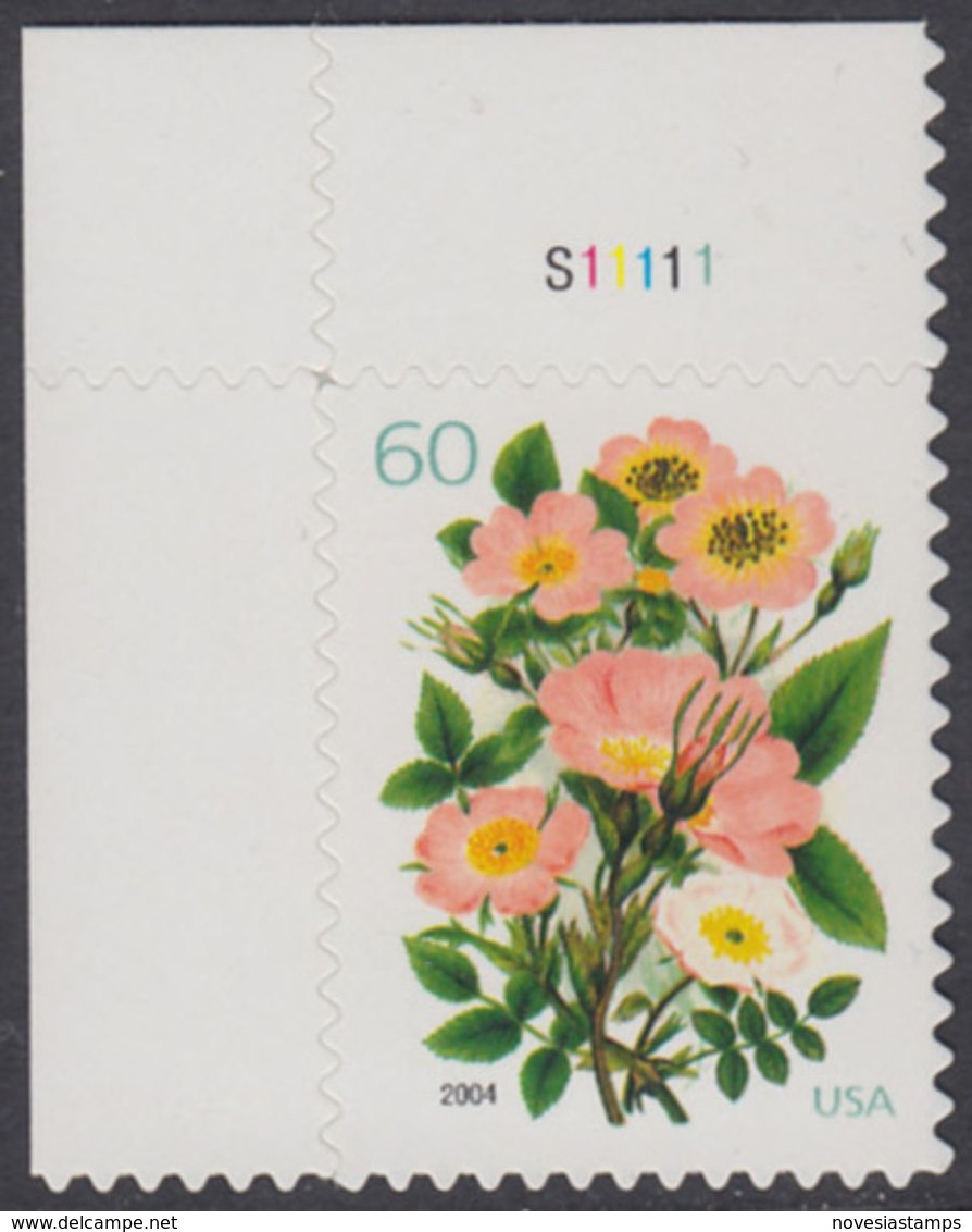 !a! USA Sc# 3837 MNH SINGLE From Upper Left Corner W/ Plate-# (UL/S11111) - Flowers - Neufs