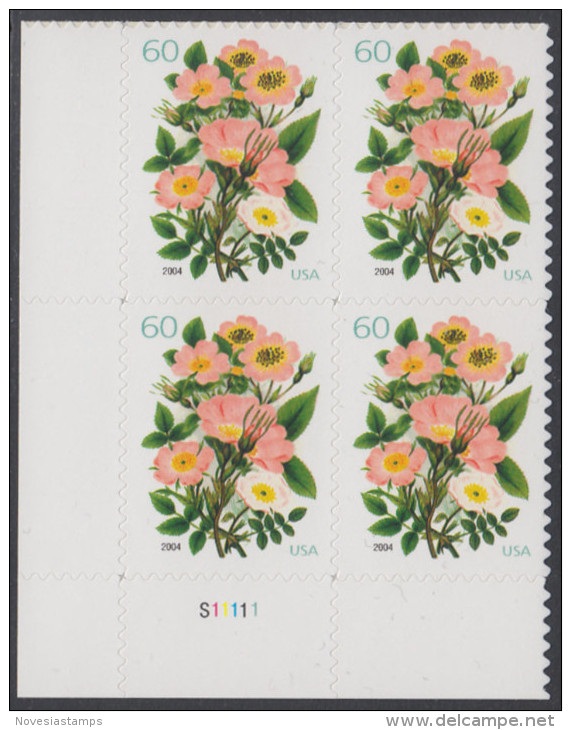 !a! USA Sc# 3837 MNH PLATEBLOCK (LL/S11111) - Flowers - Ungebraucht