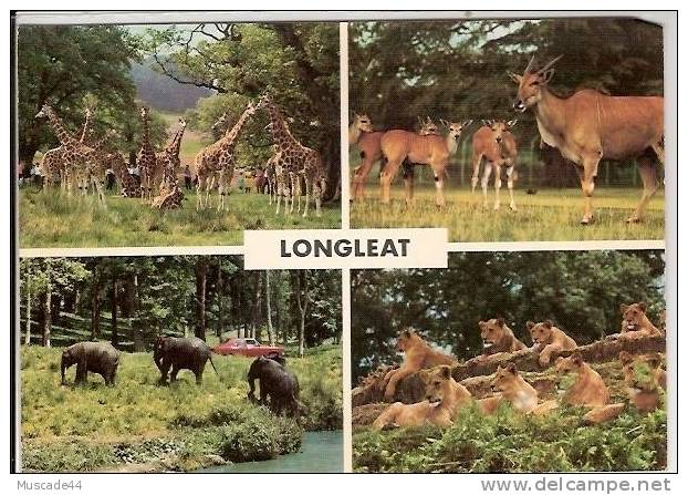 THE LIONS OFLONGLEAT - MULTI VUES - Sonstige & Ohne Zuordnung