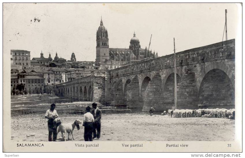 SALAMANCA : VISTA PARCIAL -> GARDIENS De MOUTONS En PREMIER PLAN - CARTE 'VRAIE PHOTO' VOYAGÉE En 1958 (a-182) - Salamanca