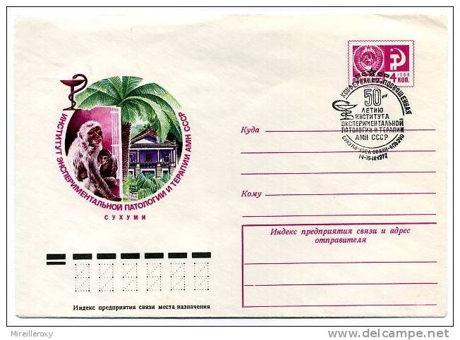 ENTIER POSTAL RUSSE STATIONERY SINGE MONKEY - Apen