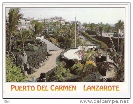 LANZAROTE ( Canarias) : Puerto Del Carmen ; B/TB - Lanzarote