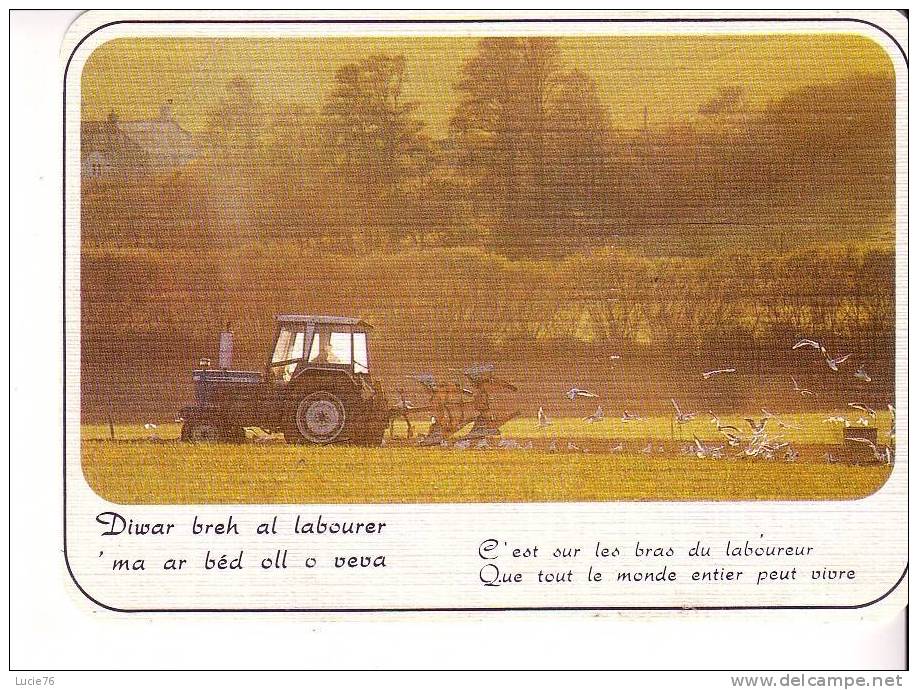 LABOUREUR  -  Sagesse De Bretagne - Landwirtschaftl. Anbau