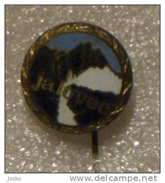 MOUNTAIN Jalovec ( Slovenia - Enamel Pin ) Mountaineering Alpinisme Alpinismo Climbing Mountaineer Mountains Montagne - Alpinisme