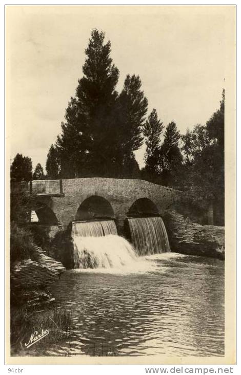 CPSMPF (82)BEAUMONT DE LOMAGNE  Chute De La Gimonne - Beaumont De Lomagne