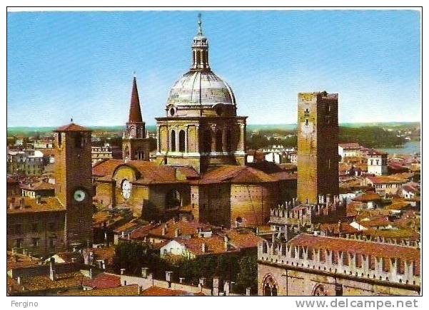 2827 - MANTOVA - Panorama - Mantova