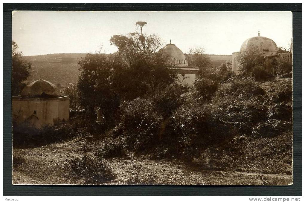 MAROC - CARTE PHOTO (année 1920 - 1930) - Carte Provenant D'une Collection Sur Le Sud Marocain Et L'Atlas - Autres & Non Classés