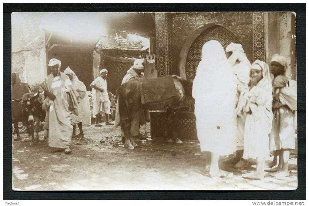 MAROC - CARTE PHOTO (année 1920 - 1930) - Carte Provenant D´une Collection Sur Le Sud Marocain Et L´Atlas - Autres & Non Classés