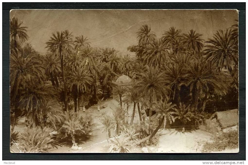 MAROC - CARTE PHOTO (année 1920 - 1930) - Carte Provenant D´une Collection Sur Le Sud Marocain Et L´Atlas - Altri & Non Classificati