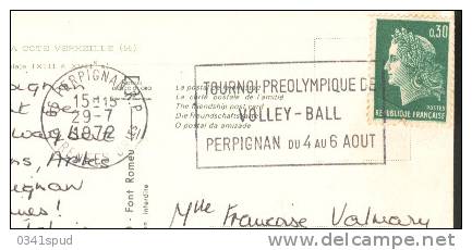 1972 France  66 Perpignan  Volley-ball Pallavolo - Voleibol