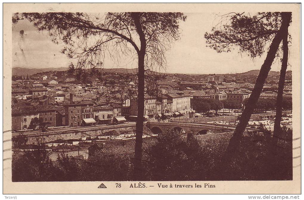 CPA De Alès (Alais Gard 30): Vue à Travers Les Pins - Alès