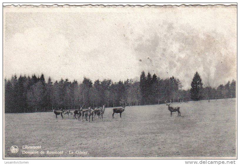 LIBRAMONT ROUMONT CHATEAU GIBIER CERF BICHE - Libramont-Chevigny