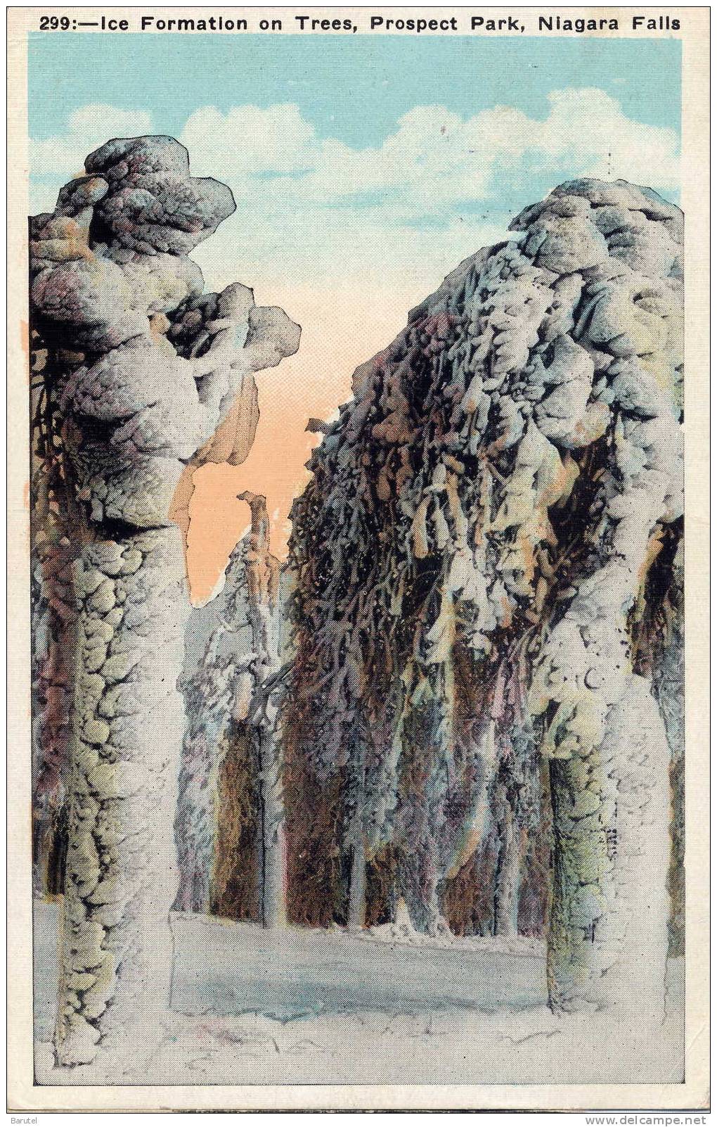 BUFFALO (Environs) [New York ~ Etats Unis] - Ice Formation On Trees, Prospect Park. Niagara Falls - Buffalo