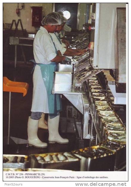 Penmarch Conserverie Furic Emboîtage Des Sardines Pêche - Industry