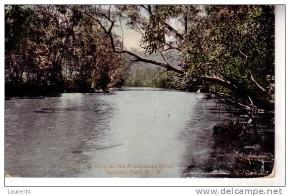 Old - Vintage Australia Postcard - Carte Ancienne D´Australie - NSW - Autres & Non Classés