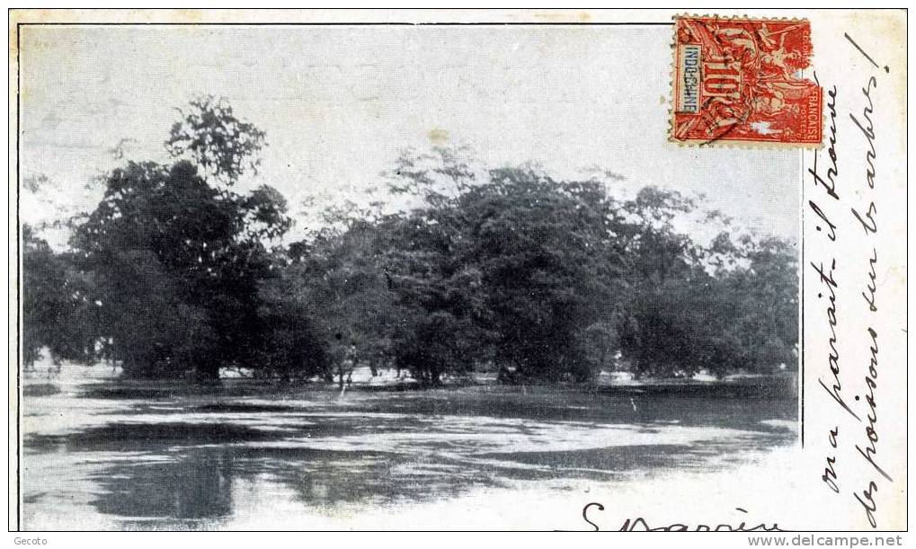 La Forêt Noyée Ou Le Mékong Aux Hautes-eaux - Laos