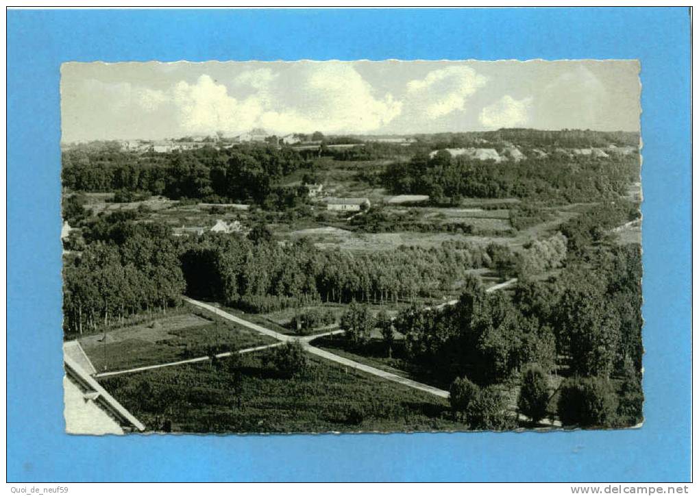 S 0201 SAINT- PIERRE - AIGLE VALLEE DE RETZ à Voir LE JARDIN - Vic Sur Aisne