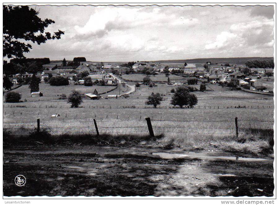 MAISSIN PALISEUL PANORAMA DU VILLAGE ET DES PRAIRIES - Paliseul