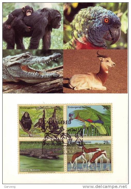 ONU/UN NY 1994: Carte Maximum Espèces Menacées / Endangered Species Maximum Card / Gefährdete Arten Maximumkarte - Papagayos