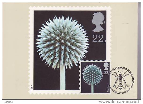 GRANDE BRETAGNE  CARTE MAXIMUM NUM.YVERT 1257 FLEURS - Tarjetas PHQ