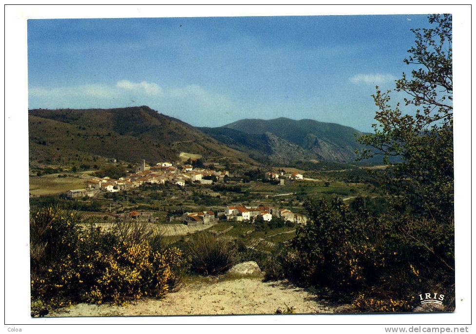 SOURNIA Vue Générale - Sournia