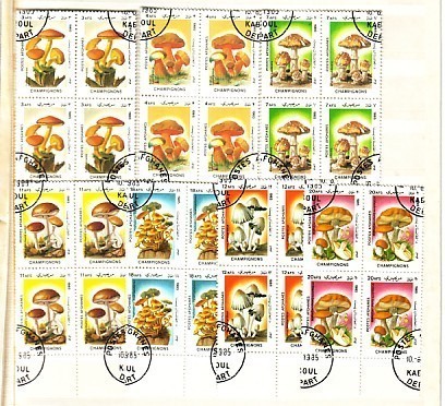 AFGANISTAN - 1985 MUSHROOMS Set  Of 7v.-used  Block Of Four - Afghanistan