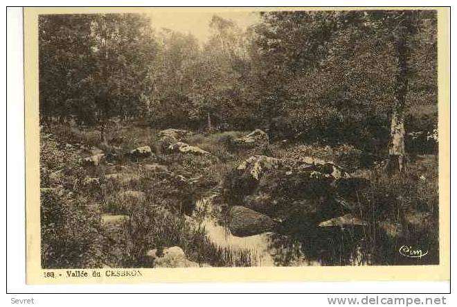 ST LOUP Sur THOUET- Vallée Du Cesbron - Saint Loup Lamaire