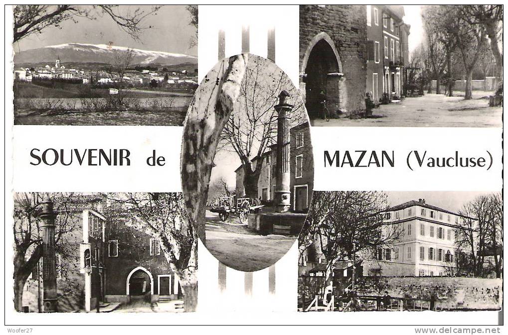 Cpsm Noir Et Blanc Dentelé:  MAZAN Souvenir - Mazan