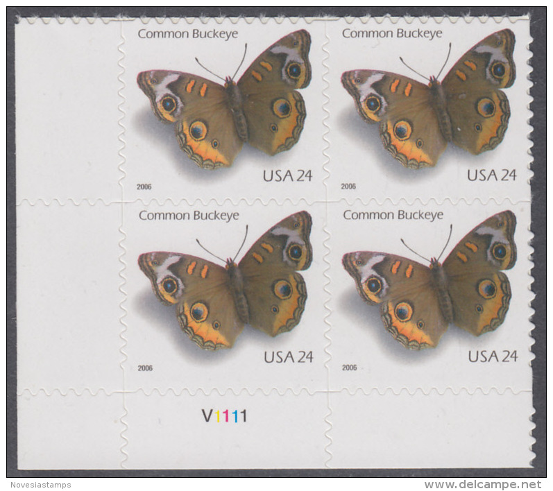 !a! USA Sc# 4001 MNH PLATEBLOCK (LL/V1111/a) - Common Buckeye Butterfly - Ongebruikt