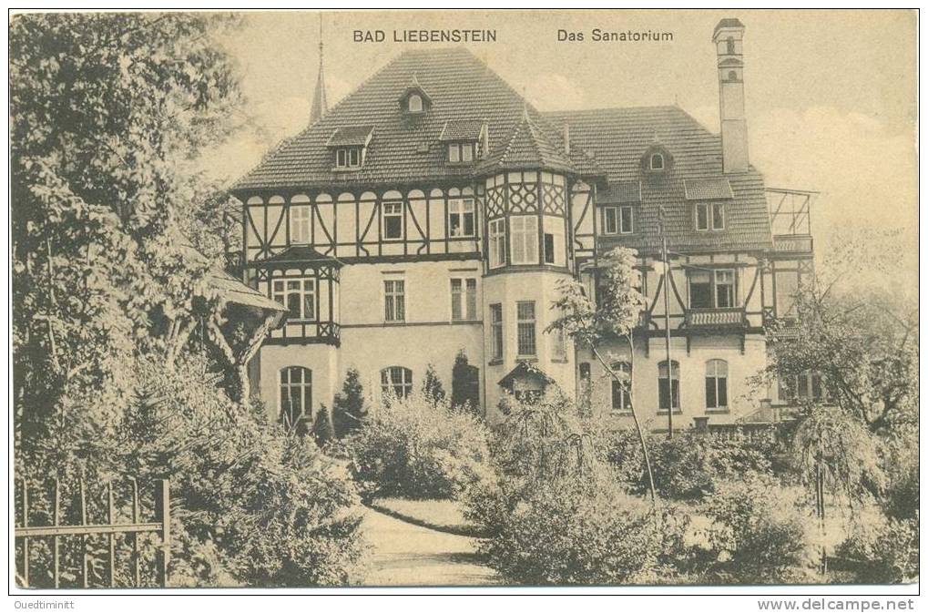 Allemagne.Bad Liebenstein.Das Sanatorium. - Bad Liebenstein