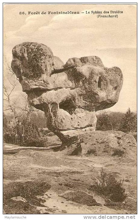 Fontainebleau Le Sphinx Des Druides - Dolmen & Menhire